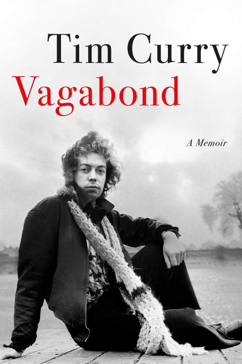 Cover image for book Vagabond