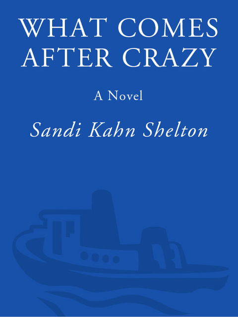Cover image for book What Comes After Crazy
