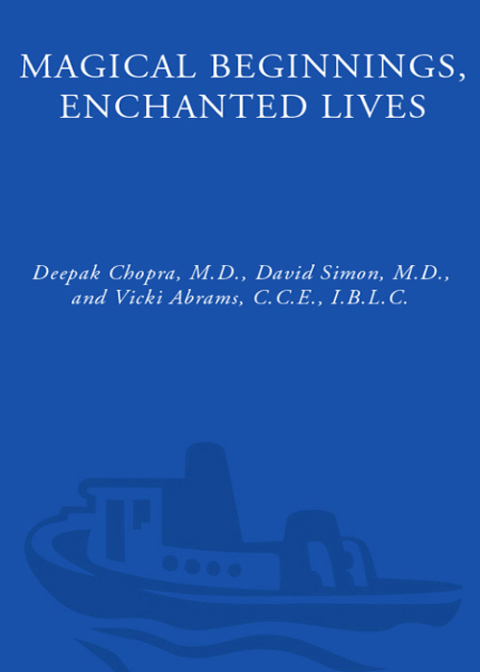 Cover image for book Magical Beginnings, Enchanted Lives