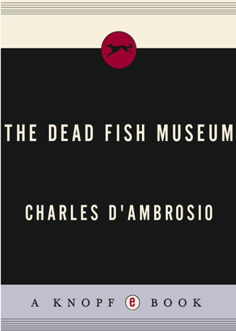 Cover image for book The Dead Fish Museum