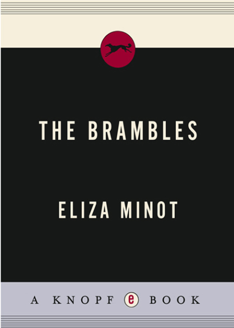 Cover image for book The Brambles