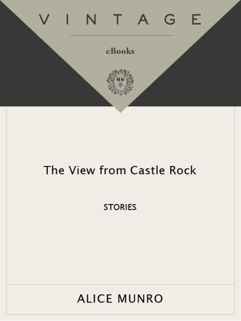 Cover image for book The View From Castle Rock