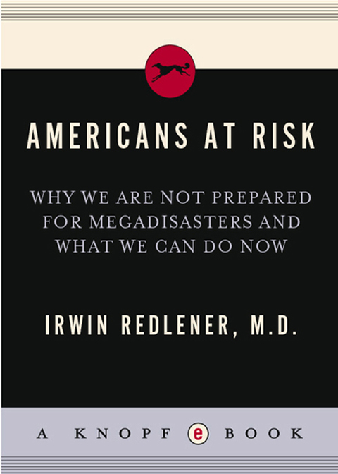 Cover image for book Americans at Risk