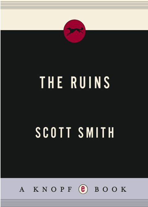 Cover image for book The Ruins