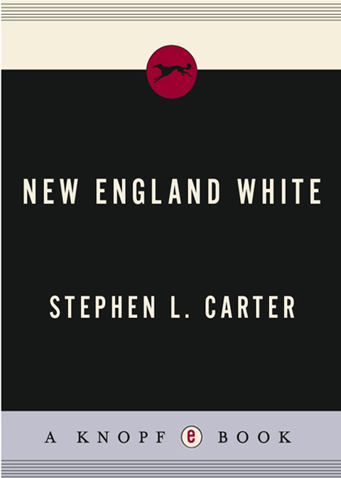 Cover image for book New England White