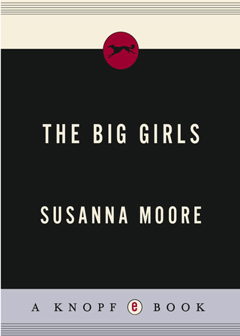 Cover image for book The Big Girls