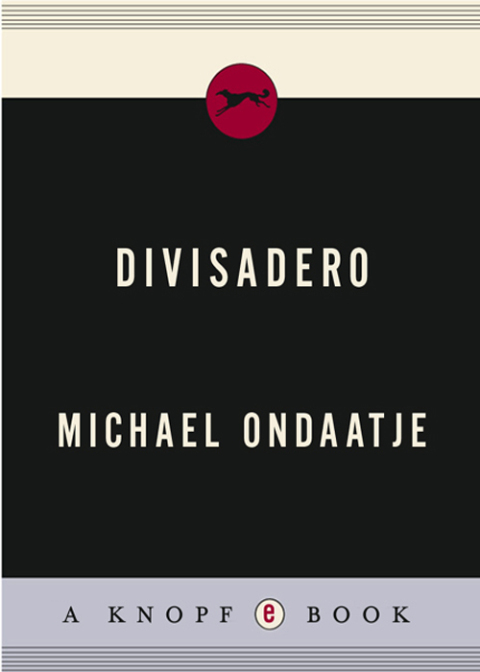 Cover image for book Divisadero