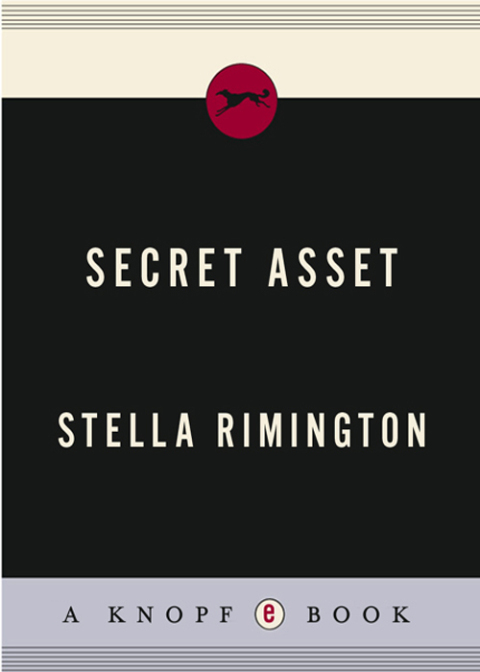 Cover image for book Secret Asset