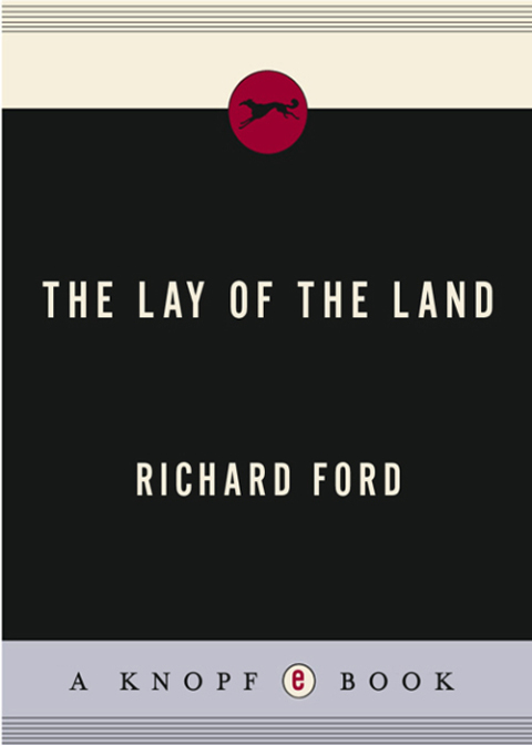 Cover image for book The Lay of the Land