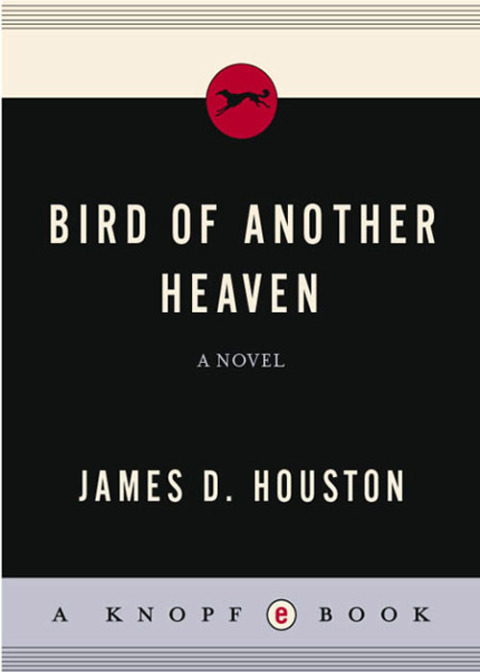 Cover image for book Bird of Another Heaven