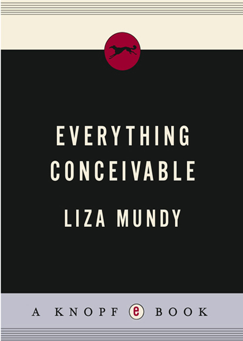 Cover image for book Everything Conceivable