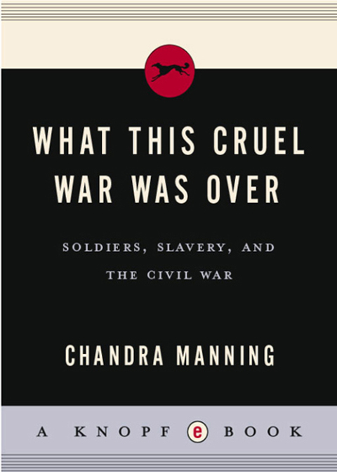 Cover image for book What This Cruel War Was Over