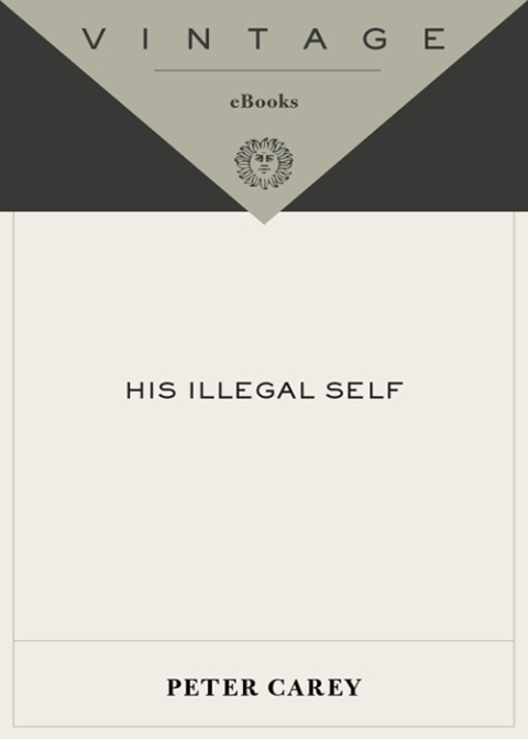 Cover image for book His Illegal Self