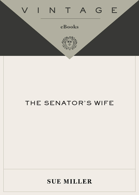 Cover image for book The Senator's Wife
