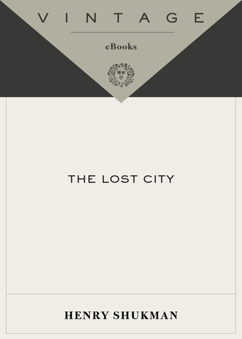 Cover image for book The Lost City