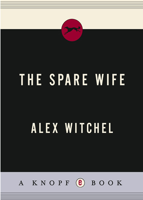 Cover image for book The Spare Wife