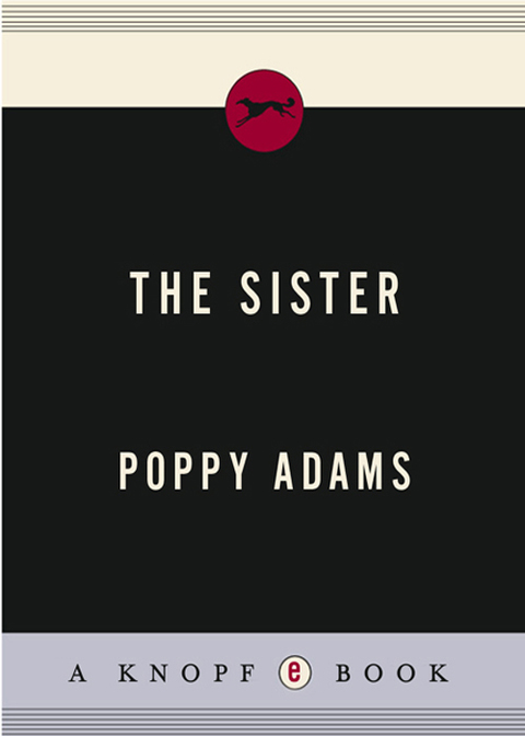 Cover image for book The Sister