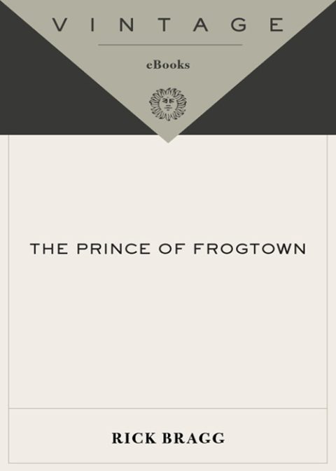 Cover image for book The Prince of Frogtown