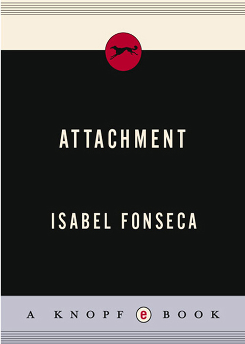 Cover image for book Attachment