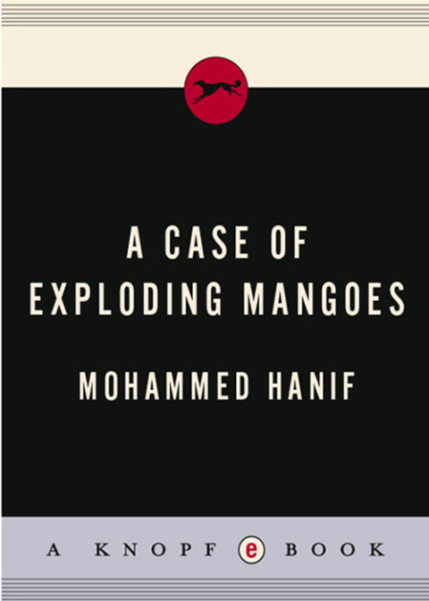 Cover image for book A Case of Exploding Mangoes