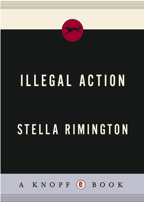 Cover image for book Illegal Action