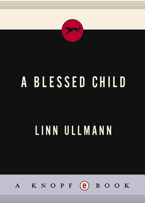 Cover image for book A Blessed Child