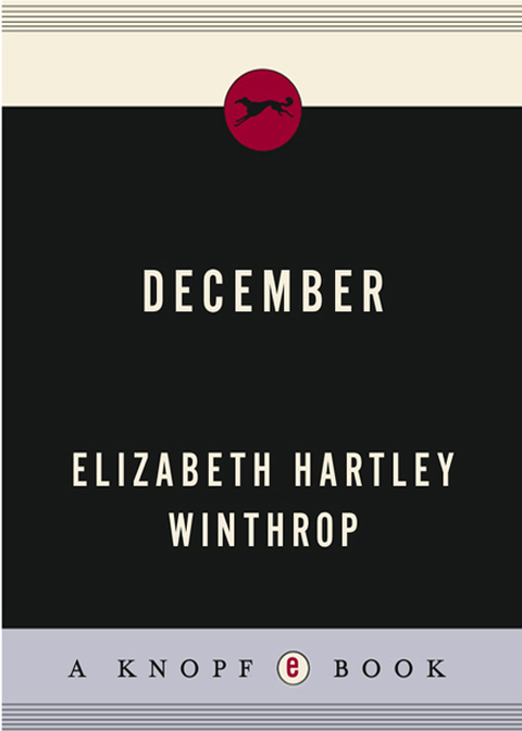 Cover image for book December