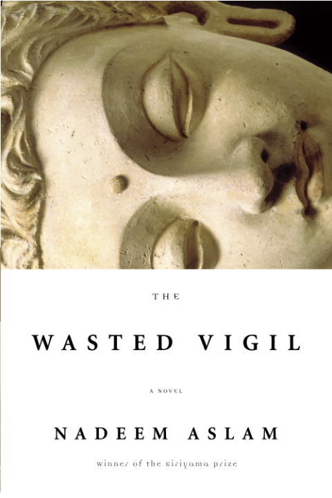 Cover image for book The Wasted Vigil