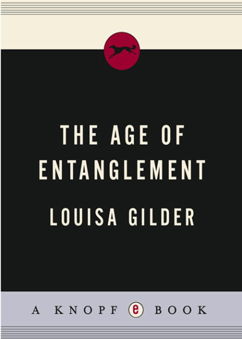 Cover image for book The Age of Entanglement