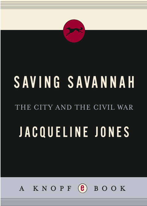 Cover image for book Saving Savannah