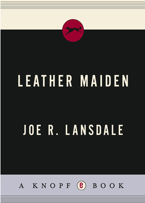 Cover image for book Leather Maiden