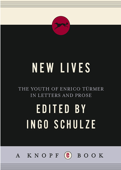 Cover image for book New Lives