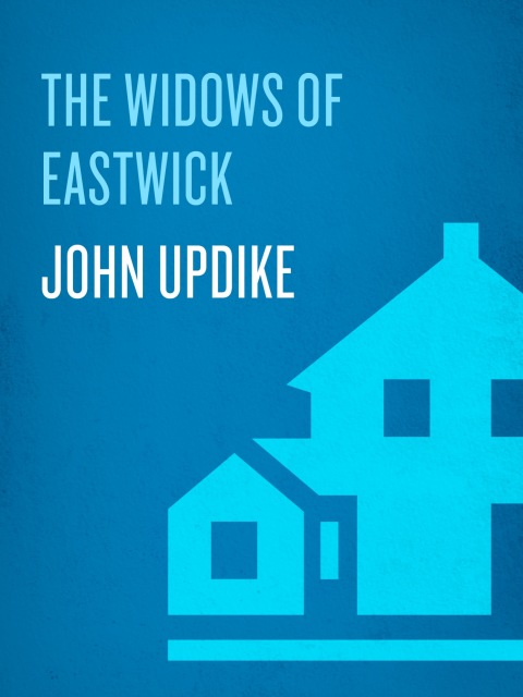 Cover image for book The Widows of Eastwick
