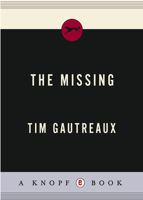 Cover image for book The Missing