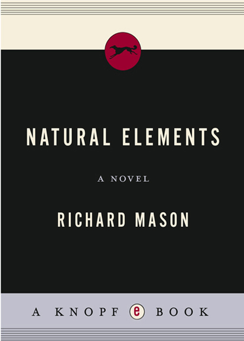 Cover image for book Natural Elements