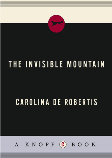 Cover image for book The Invisible Mountain