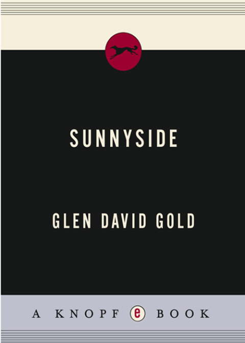 Cover image for book Sunnyside