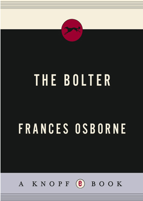 Cover image for book The Bolter