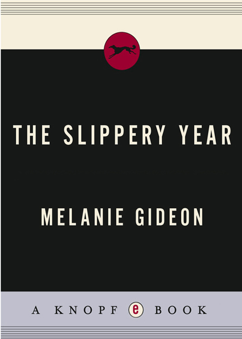 Cover image for book The Slippery Year