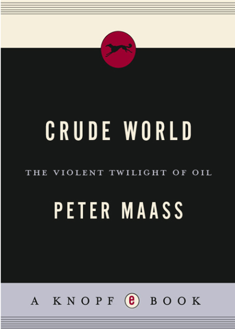 Cover image for book Crude World