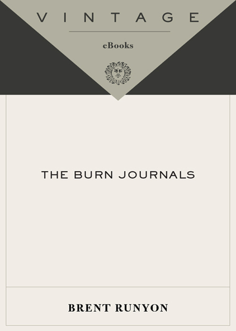 Cover image for book The Burn Journals
