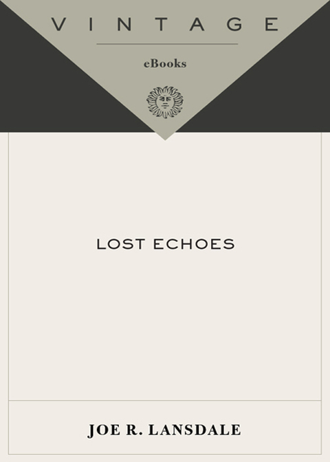 Cover image for book Lost Echoes