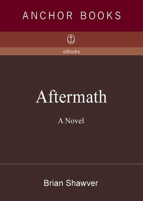 Cover image for book Aftermath