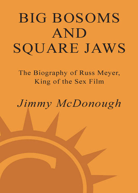 Cover image for book Big Bosoms and Square Jaws