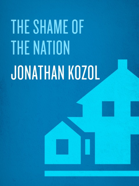 Cover image for book The Shame of the Nation