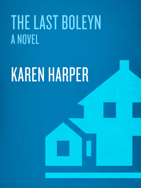 Cover image for book The Last Boleyn