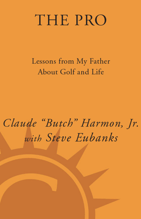 Cover image for book The Pro