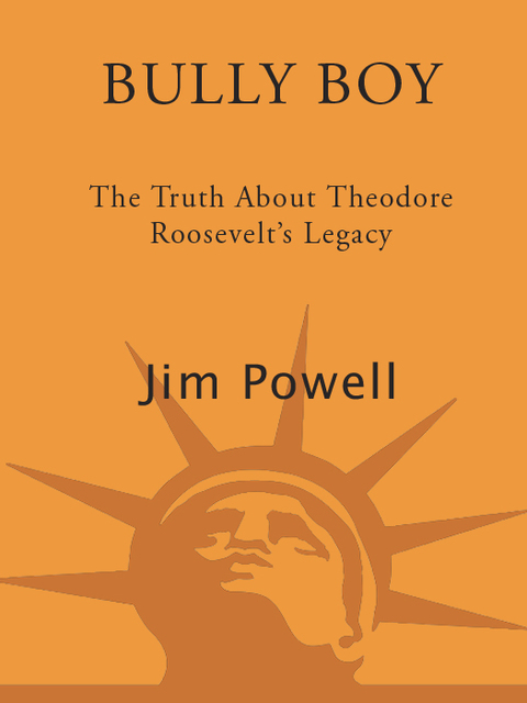 Cover image for book Bully Boy