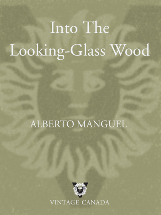 Into The Looking-Glass Wood