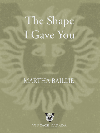 The Shape I Gave You